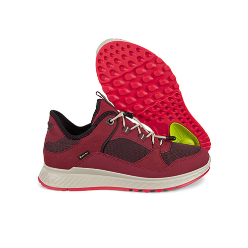 Ecco dam discount