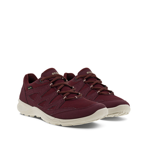 Ecco Terracruise LT GTX W