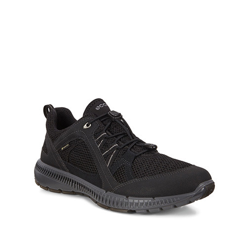 Ecco Terracruise II W GTX