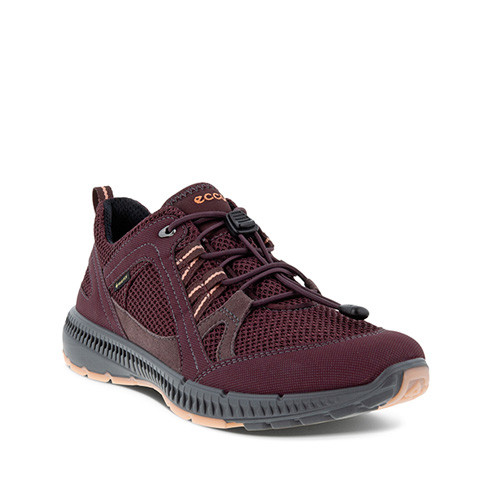 Ecco Terracruise II W GTX