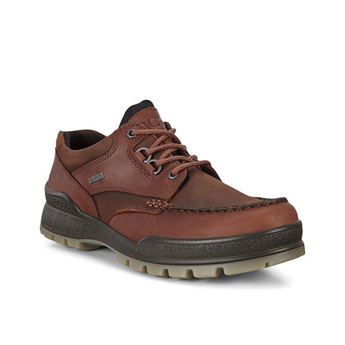 Ecco Track 25 Bison/Bison GTX