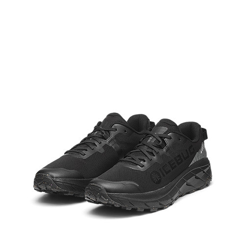 Icebug Arcus 2 M RB9X GTX